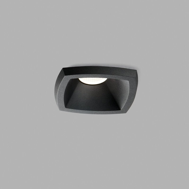 11877.jpg