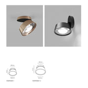 LIGHT POINT VINTAGE 2