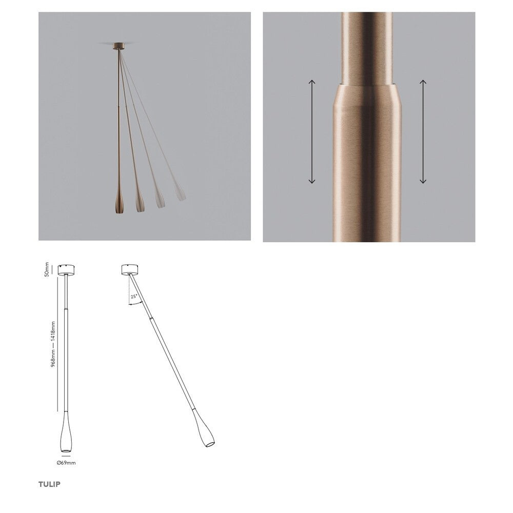 LIGHT POINT TITANIUM