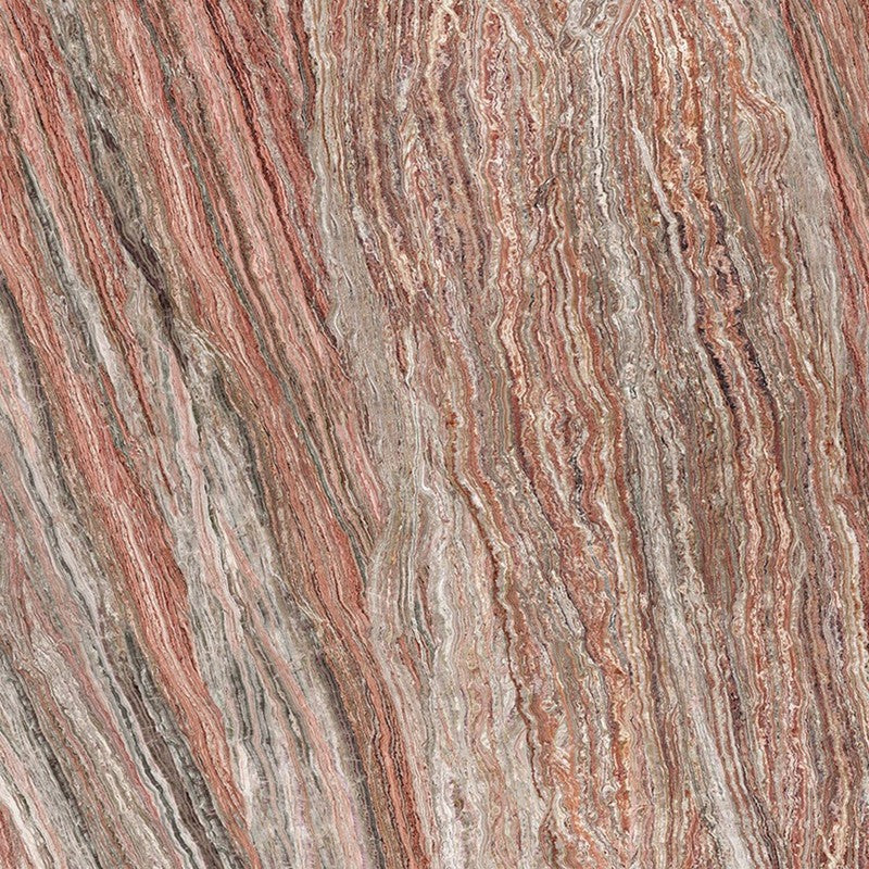 BULBO ORTIGIA ROSA