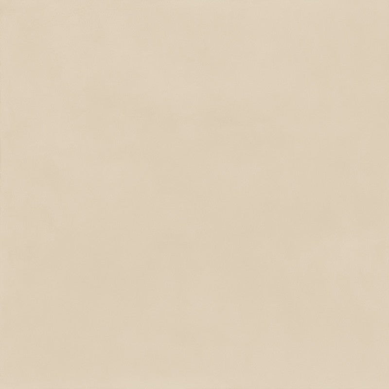 20295.jpg