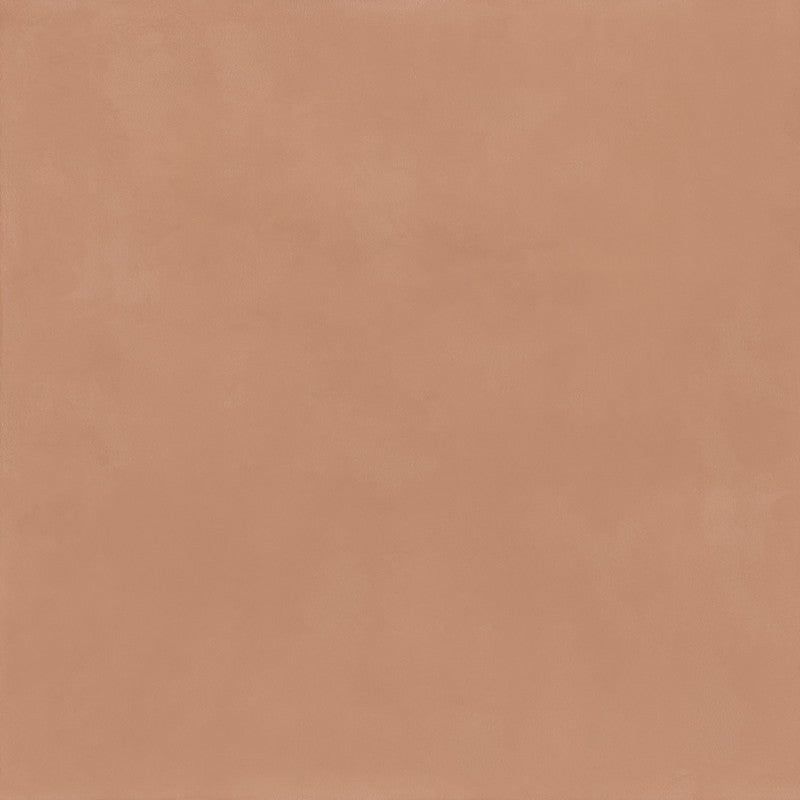 20300.jpg
