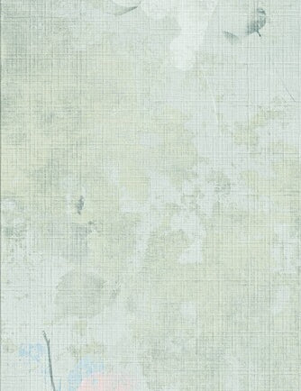 20431.jpg