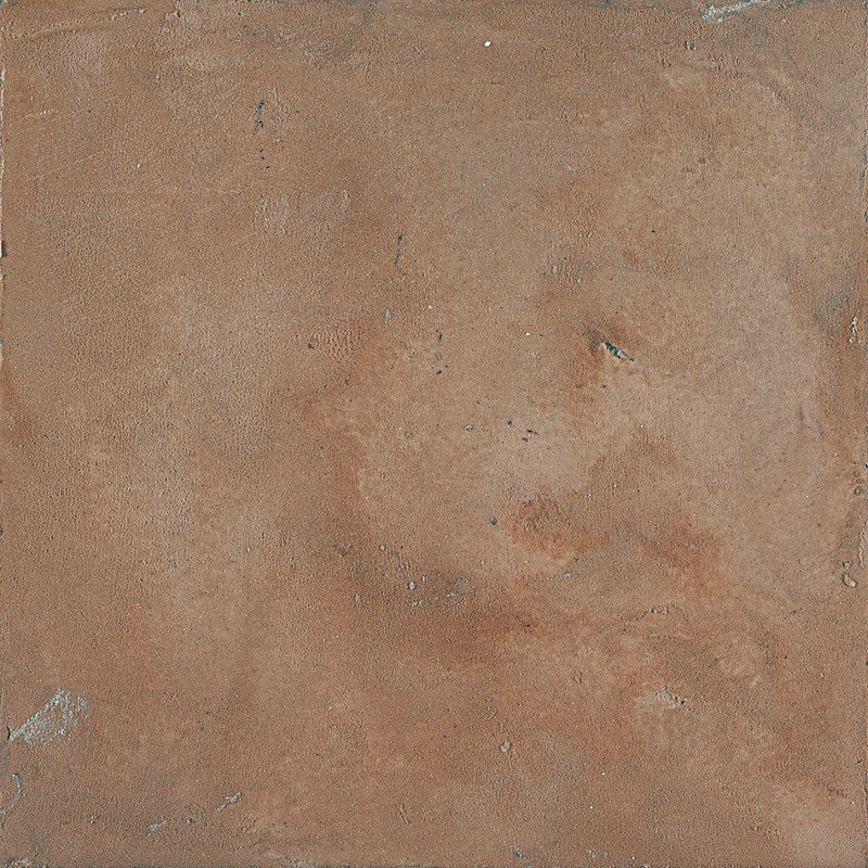 20550.jpg