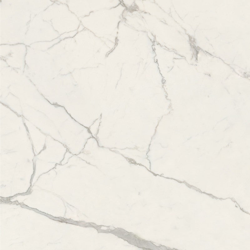 CAESAR ANIMA FUTURA MAJESTIC WHITE