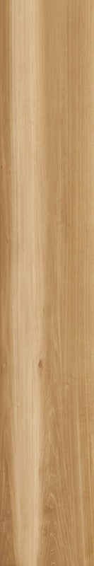 CAESAR LIFE OAK