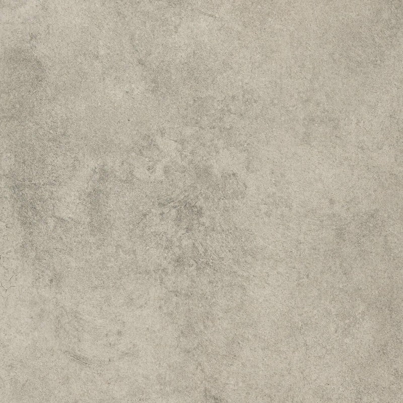 CAESAR FULL FOSSIL