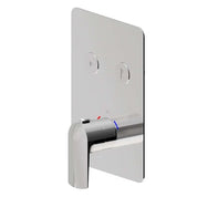 NEWFORM DELTA THERMOSTATIC MIXER TWO-OUTLET