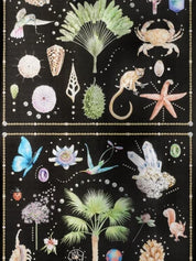PIERRE FREY CARTA DA PARATI CURIOSITES