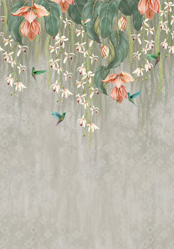 OSBORNE&LITTLE CARTA DA PARATI ANANDA TRAILING ORCHID